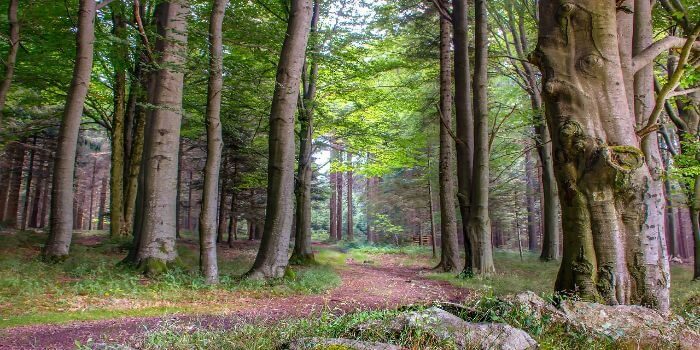 Urlaub im Bayerischen Wald. Aber eben nicht nur…