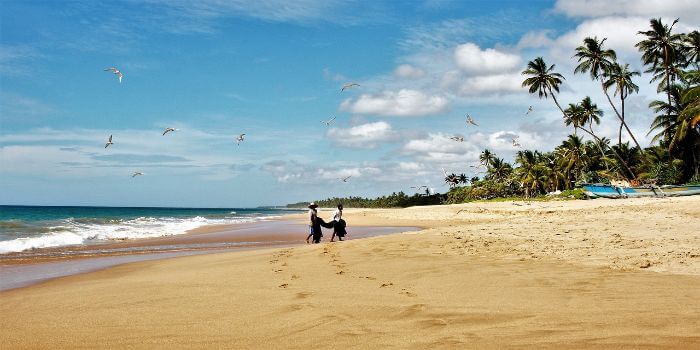 Strand und Meer mit Palmen im Hintergrund