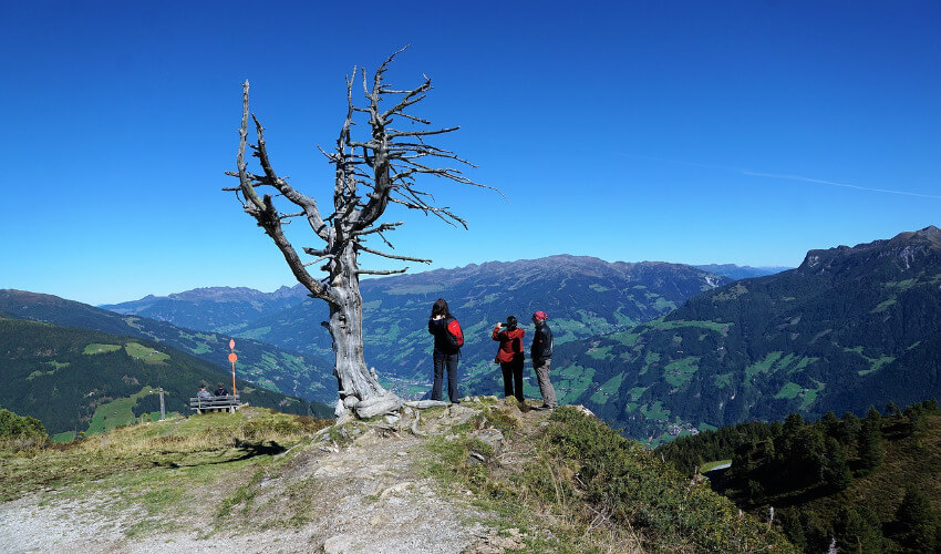 Ein dürrer Baum wo drei Menschen daneben stehen und die Aussicht auf die Berge genießen.